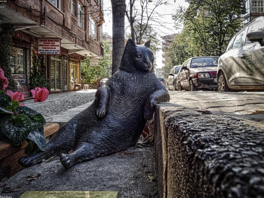 រឿងរ៉ាវនៃភាពជោគជ័យ: ការបង្ហាញនៃអ្នកឈ្នះ