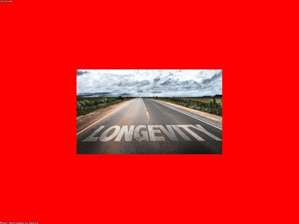 ការផ្លាស់ប្តូរទីផ្សារ: របៀបដើម្បីទទួលបានភាពជោគជ័យ