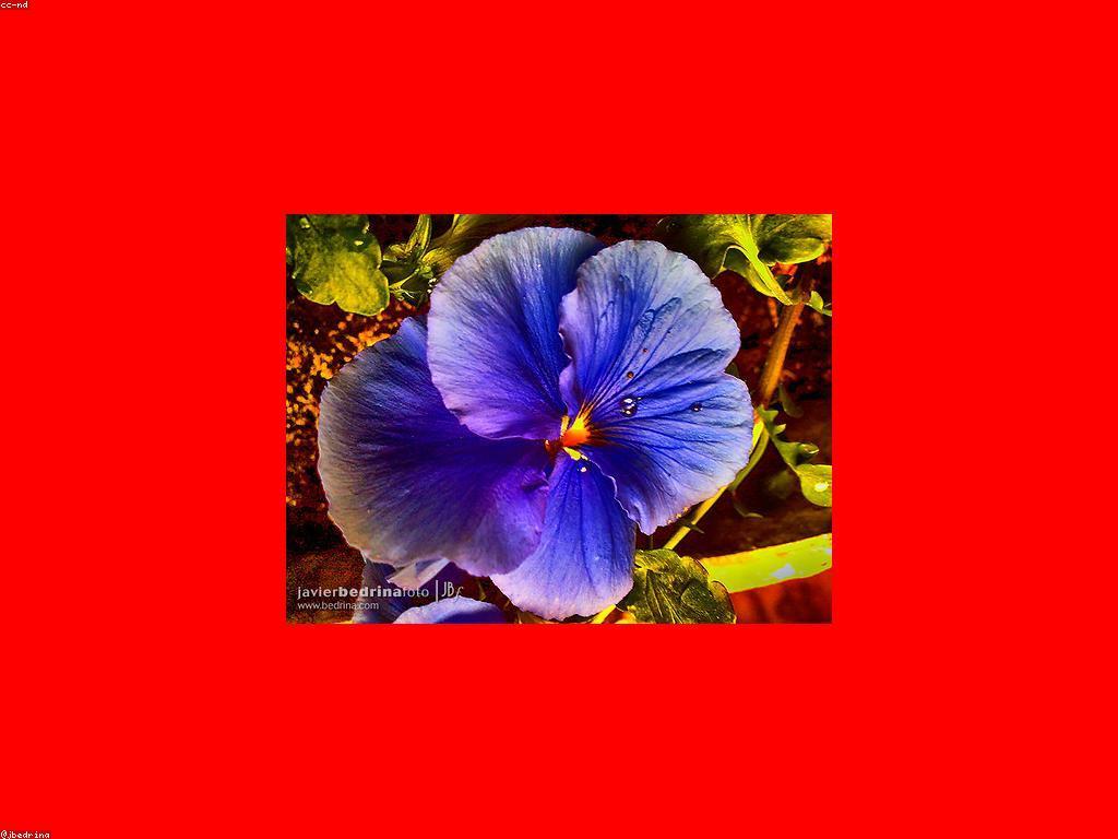 យុទ្ធសាស្ត្រច្នៃប្រឌិតសម្រាប់កំណើនអាជីវកម្ម