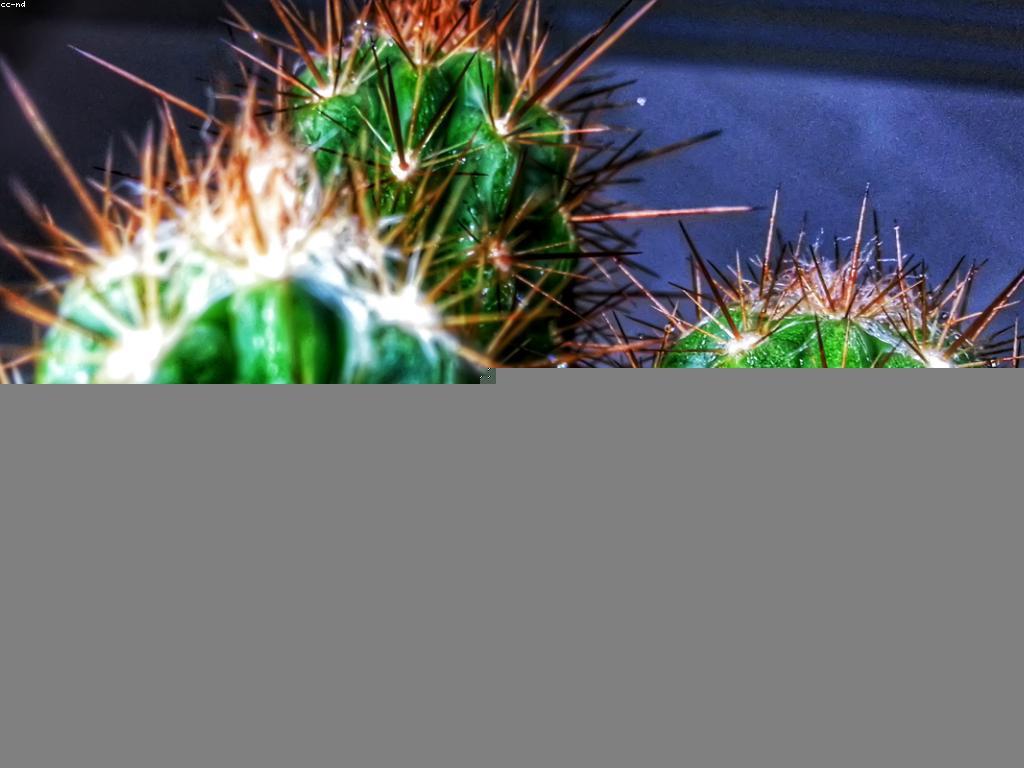 ការអភិវឌ្ឍយុទ្ធសាស្ត្រច្នៃប្រឌិត